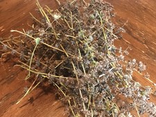 Lemon balm seeds for sale  Monroe Township
