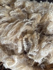 raw sheep wool for sale raw sheep wool for sale LLANDYSUL
