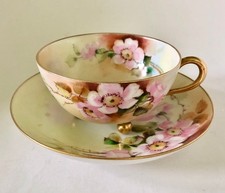 Haviland limoges tea for sale  Mahopac
