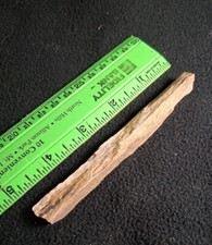 Raw rough petrified for sale  Wexford