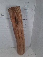 Driftwood cedar taxidermy for sale  Brookwood
