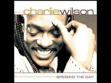 Charlie wilson bridging for sale  Chesterfield
