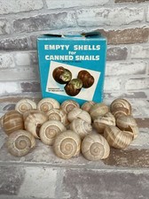 Vintage escargot shells for sale  AXBRIDGE