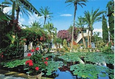 Maroc marrakech jardins d'occasion  France