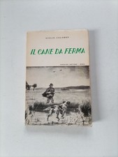 Caccia cane ferma usato  Valle San Nicolao