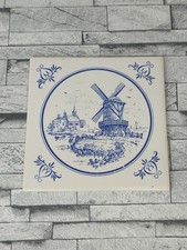 Boizenburg fliese 15x15 gebraucht kaufen  Schwerin