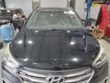 Used hood fits for sale  Douglassville