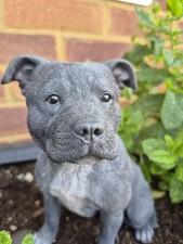 Staffordshire terrier figure for sale  SUNBURY-ON-THAMES