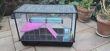ferret accessories for sale ferret accessories for sale ROTHERHAM