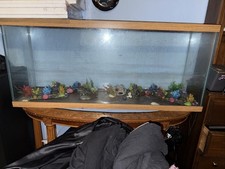 Aquarium for sale  Indianapolis