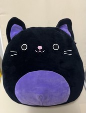 Autumn black cat for sale  ROCHESTER