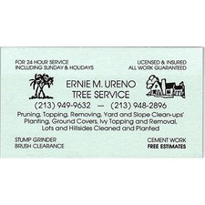 Ernie ureno tree for sale  Hinckley