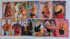 Wwf wrestling postkarten gebraucht kaufen  Baunach
