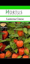 Lanterne cinese semi usato  Trappeto