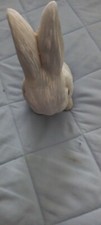 rabbits for sale rabbits for sale PAIGNTON