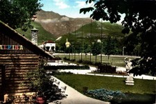 Belluno pedavena birreria usato  Asti