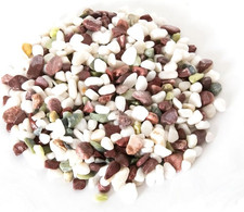 Reptiles planet ciottoli usato Reptiles planet ciottoli usato  Roma