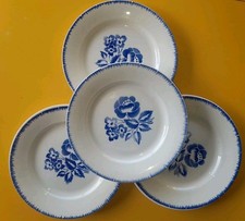 Assiettes plates digoin d'occasion  Vesoul