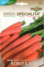 300 semi seeds usato  Morra de Sanctis