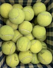 50 pelotas de tenis usadas/juguetes para perros de bajo costo/práctica/penn, Dunlop segunda mano  Embacar hacia Argentina