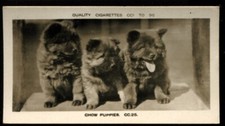 Tobacco card pattreiouex for sale  ASHFORD