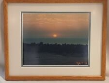 Vintage framed art for sale  Elmira