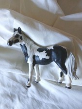 Sleich pinto mare for sale  CROOK