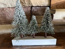 pine trees norway for sale  Phoenix