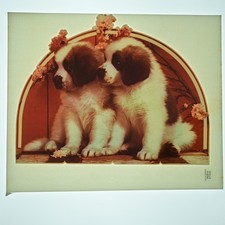 Original vintage 1970s for sale  Reynolds