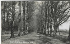 Avenue alresford hants for sale  ORPINGTON