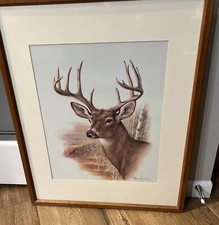 Deer buck print for sale  Monticello