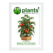 red planting pot for sale red planting pot for sale Claremont