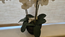 Artificial flowers orchid for sale  WATFORD