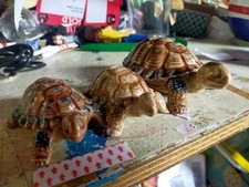 Wade porcelain turtle for sale  CHEPSTOW