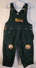 Macacão Vintage RARO Rugrats Nickelodeon Veludo Verde Tamanho 2T!!! comprar usado  Enviando para Brazil