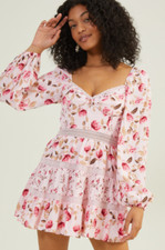 Vestido Altard State S Kate Floral Mini Bustier Espartilho Corpete Rosa Cottagecore NOVO, usado comprar usado  Enviando para Brazil