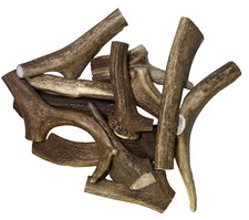 Deer antler dog for sale  WESTON-SUPER-MARE