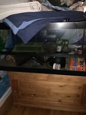 50 gallon terrarium for sale  Huntington Station