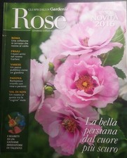 Rose gli speciali usato Rose gli speciali usato  Italia