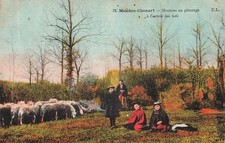 Meudon clamart moutons d'occasion Meudon clamart moutons d'occasion  France