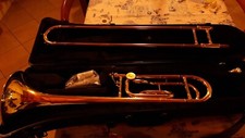 Trombone carolbrass ctb3019 usato  Gavardo