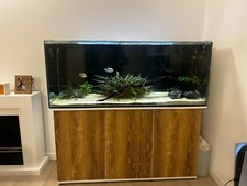 Acquario artigianale 450 usato  Milano