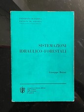 Sistemazione idraulico foresta usato  Milano