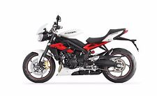 Triumph street triple for sale  LEVEN