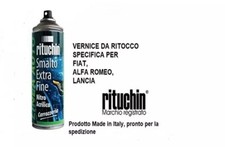 Rituchin vernice spray usato  Villanova Solaro