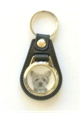 Yorkshire terrier dog for sale  HUDDERSFIELD