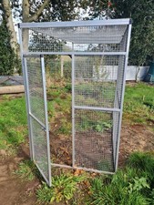 Large sided parrot for sale  MARKET DRAYTON