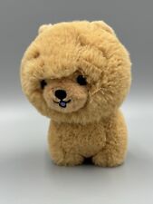 Aurora chow chow for sale  Pittsburgh