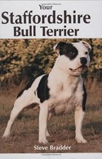 Your staffordshire bull d'occasion  Expédié en France