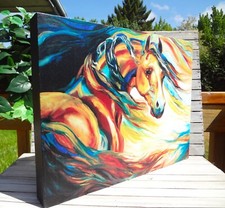 Marcia baldwin equine for sale  Grants Pass